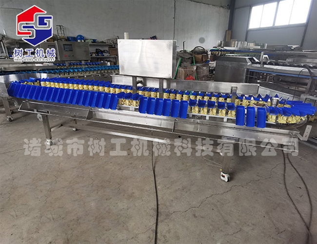 水果分級機(jī)